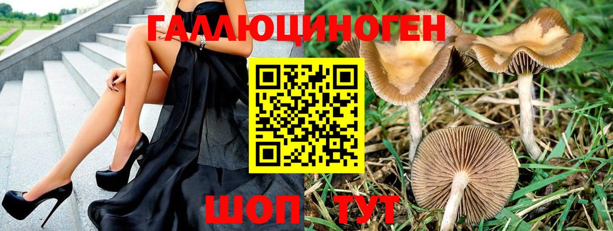 Дубна  Галлюциногенные грибы мухоморы  Вход с VPN 