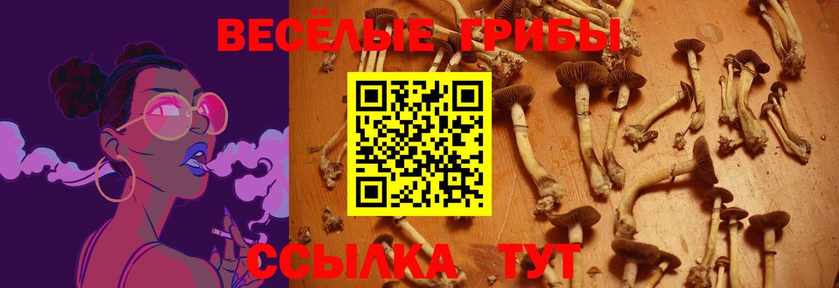 Галлюциногенные грибы Cubensis Дубна